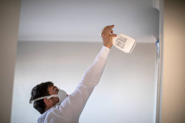 Best Mold Removal Near Me  in Conroe, TX