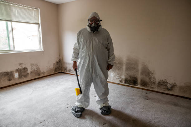 Best Commercial Mold Removal  in Conroe, TX